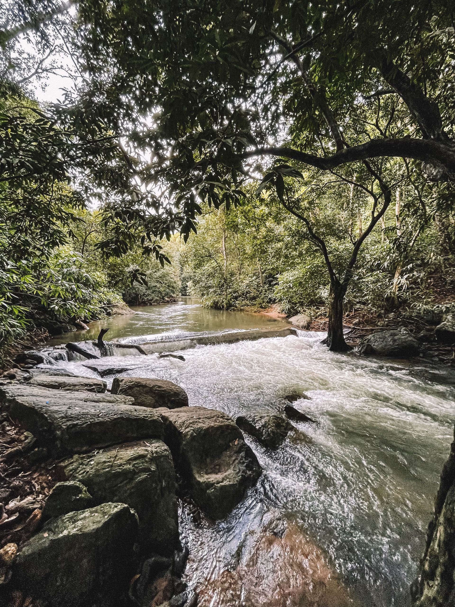 Río Melcocho